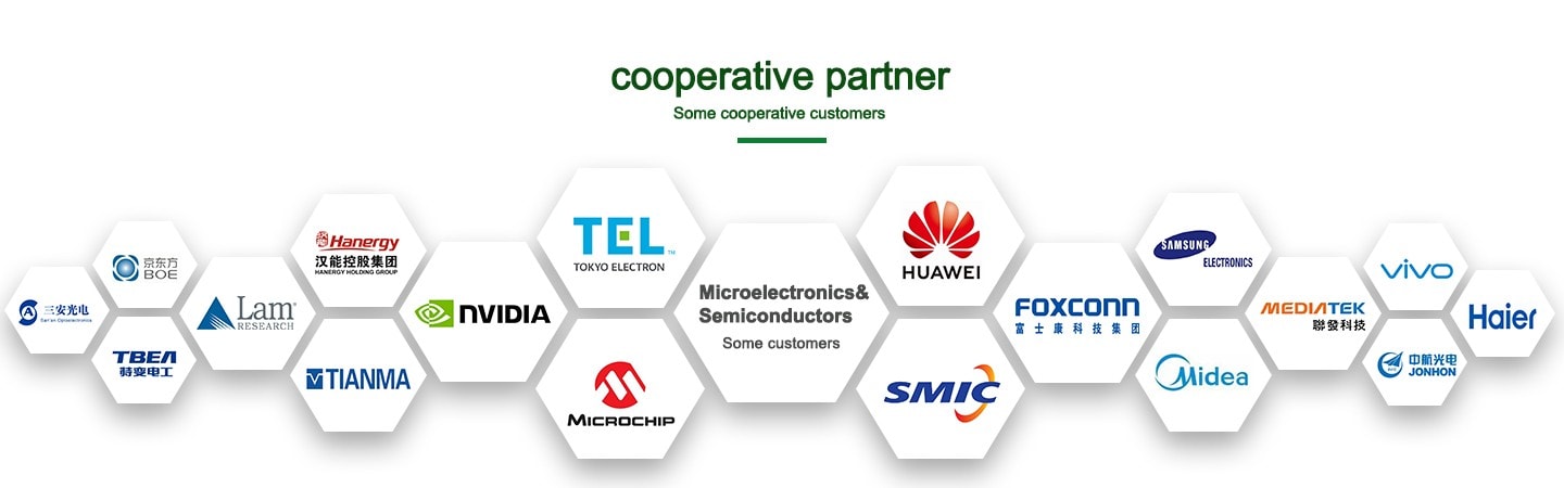 Microelectronics final partner